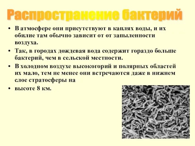 В атмосфере они присутствуют в каплях воды, и их обилие там