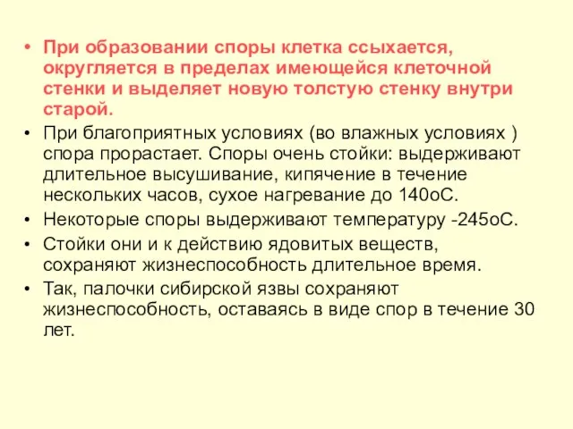 При образовании споры клетка ссыхается, округляется в пределах имеющейся клеточной стенки