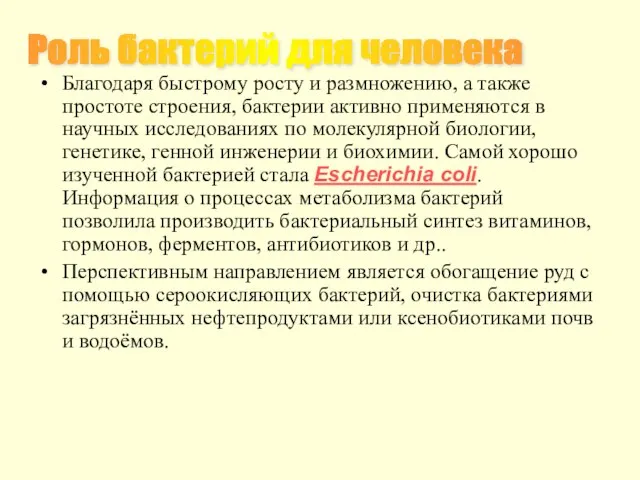 Благодаря быстрому росту и размножению, а также простоте строения, бактерии активно