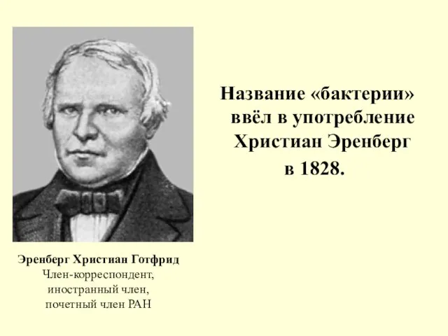 Название «бактерии» ввёл в употребление Христиан Эренберг в 1828. Эренберг Христиан