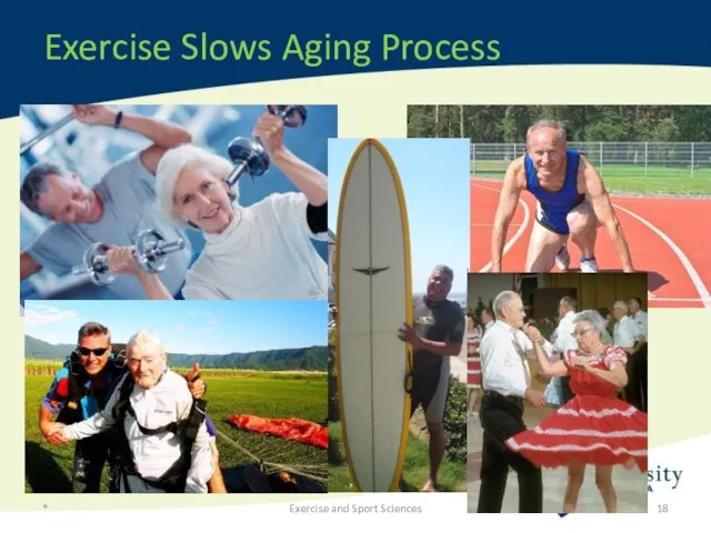 Exercise Slows Aging Process * Exercise and Sport Sciences