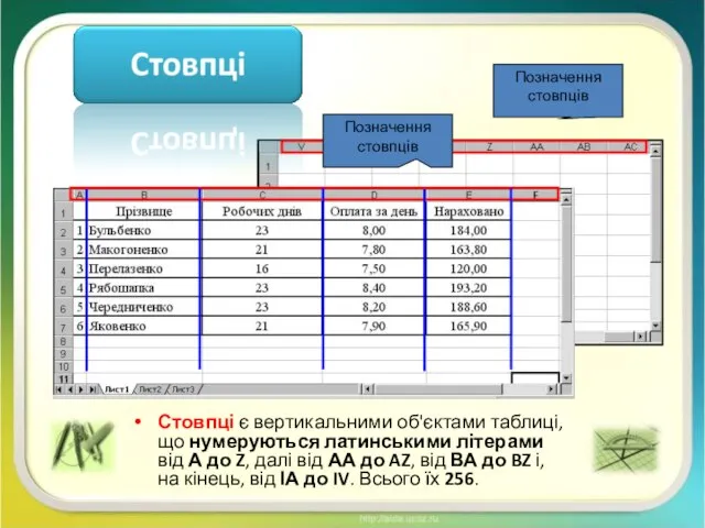 Стовпці є вертикальними об'єктами таблиці, що нумеруються латинськими літерами від А