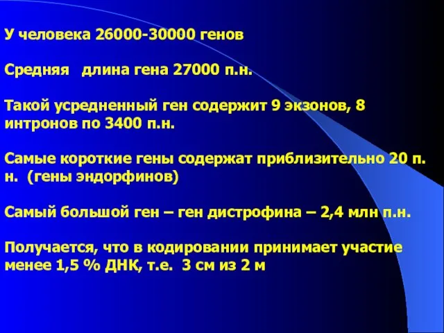 У человека 26000-30000 генов Средняя длина гена 27000 п.н. Такой усредненный