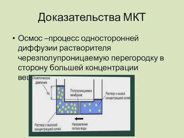 Осмос –процесс односторонней диффузии растворителя черезполупроницаемую перегородку в сторону большей концентрации вещества Доказательства МКТ