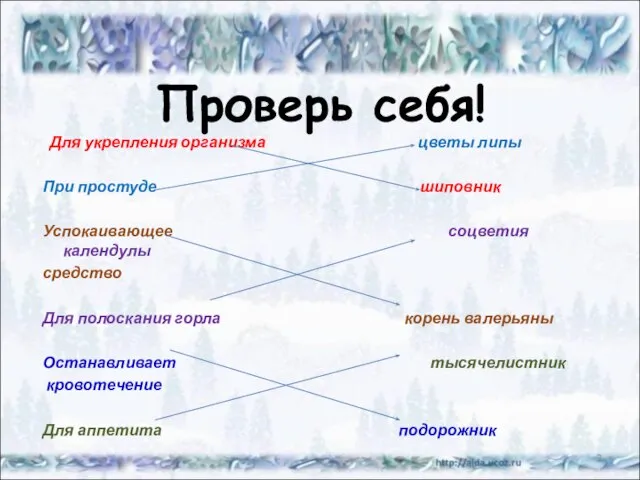 Проверь себя! Для укрепления организма цветы липы При простуде шиповник Успокаивающее