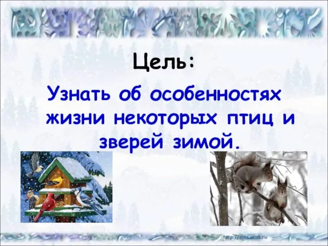 Цель: Узнать об особенностях жизни некоторых птиц и зверей зимой. *