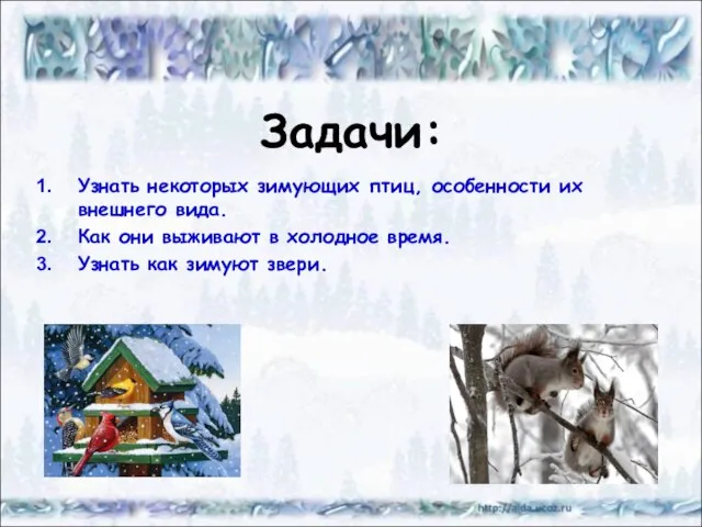 Задачи: Узнать некоторых зимующих птиц, особенности их внешнего вида. Как они