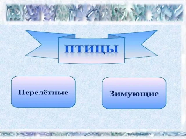 Замело в лесу пригорки. И овражки замело. Ни души нет на полянке Тихо. Холодно. Бело.