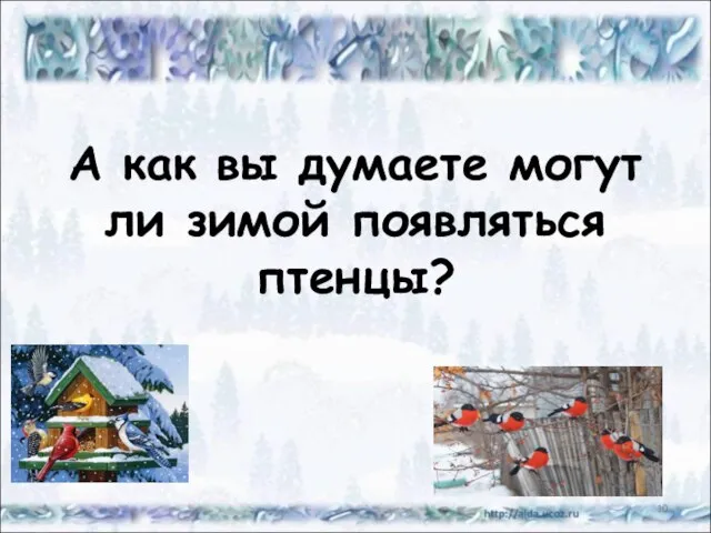 А как вы думаете могут ли зимой появляться птенцы? *