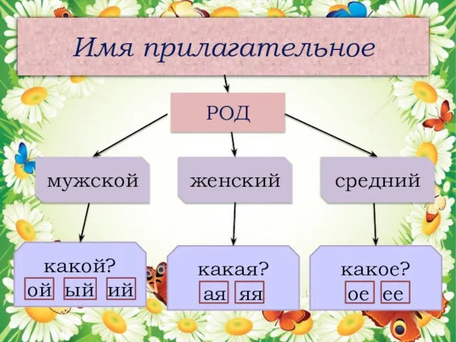 Имя прилагательное мужской женский средний РОД какой? ой ый ий какая? ая яя какое? ое ее