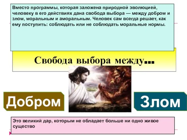 Свобода выбора между… Вместо программы, которая заложена природной эволюцией, человеку в