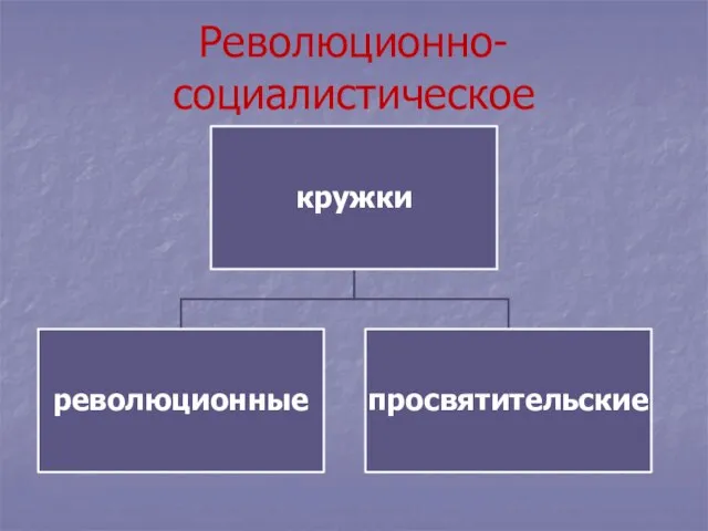 Революционно-социалистическое