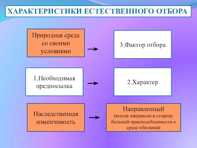 3.Фактор отбора Природная среда со своими условиями ХАРАКТЕРИСТИКИ ЕСТЕСТВЕННОГО ОТБОРА 1.Необходимая