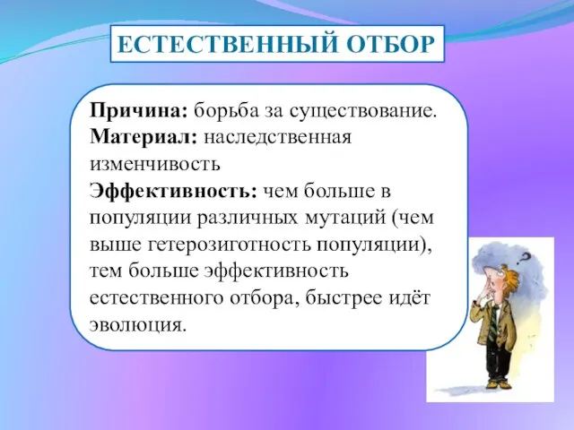 ЕСТЕСТВЕННЫЙ ОТБОР Причина: борьба за существование. Материал: наследственная изменчивость Эффективность: чем