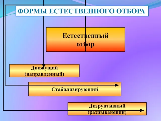 ФОРМЫ ЕСТЕСТВЕННОГО ОТБОРА