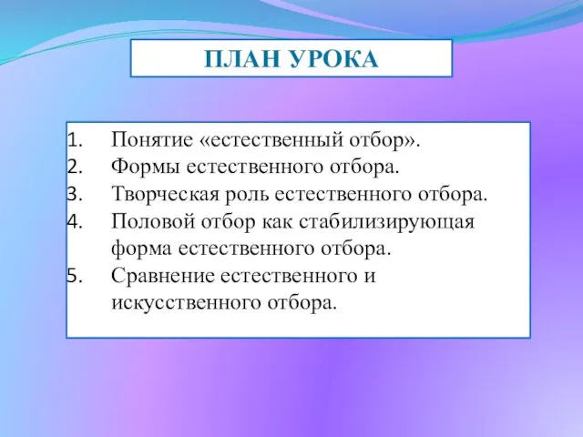 ПЛАН УРОКА Понятие «естественный отбор». Формы естественного отбора. Творческая роль естественного