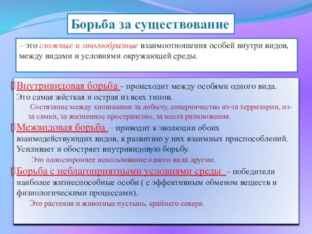 – это сложные и многообразные взаимоотношения особей внутри видов, между видами