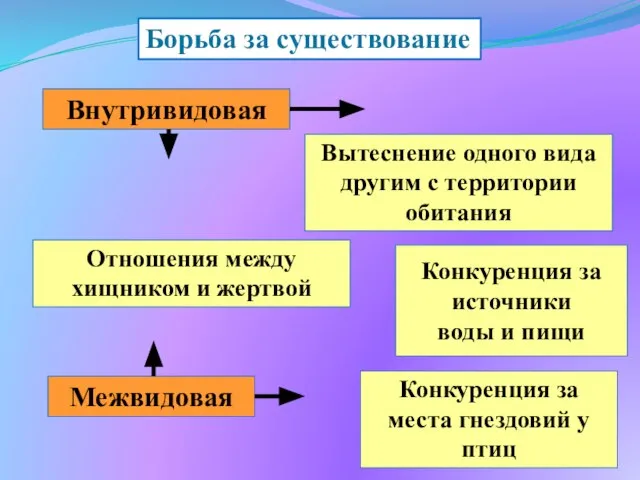 Внутривидовая Межвидовая Конкуренция за источники воды и пищи Конкуренция за места