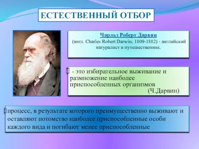 - это избирательное выживание и размножение наиболее приспособленных организмов (Ч.Дарвин) ЕСТЕСТВЕННЫЙ