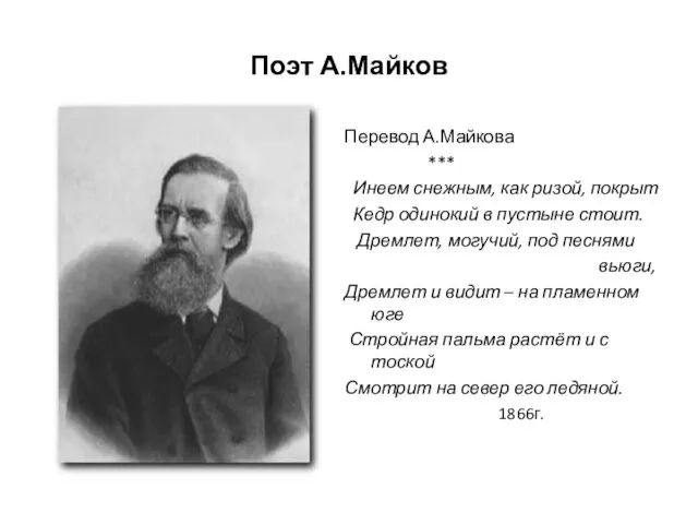 Поэт А.Майков Перевод А.Майкова *** Инеем снежным, как ризой, покрыт Кедр