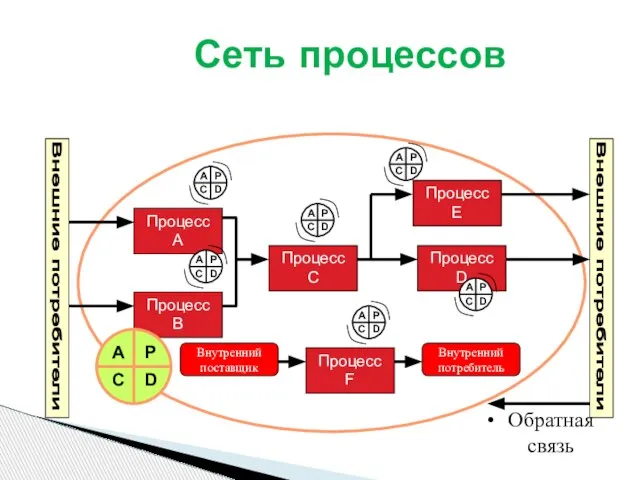 Сеть процессов