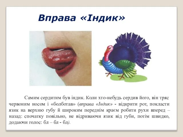 Вправа «Індик» Самим сердитим був індик. Коли хто-небудь сердив його, він