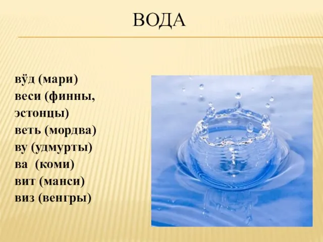 ВОДА вÿд (мари) веси (финны, эстонцы) веть (мордва) ву (удмурты) ва (коми) вит (манси) виз (венгры)