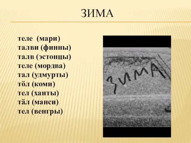 ЗИМА теле (мари) талви (финны) талв (эстонцы) теле (мордва) тал (удмурты)