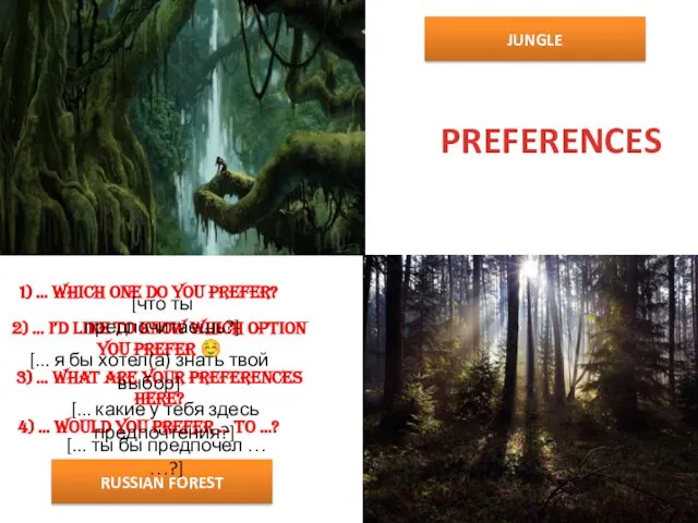 RUSSIAN FOREST JUNGLE PREFERENCES 1) … Which one do you prefer?