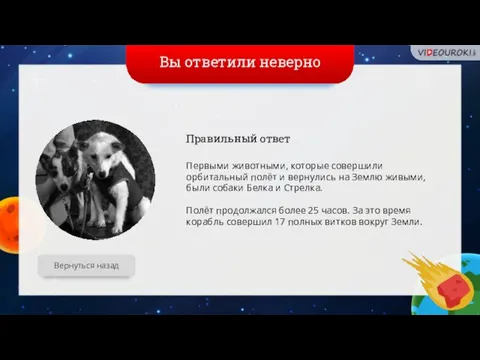 Вы ответили неверно Вернуться назад