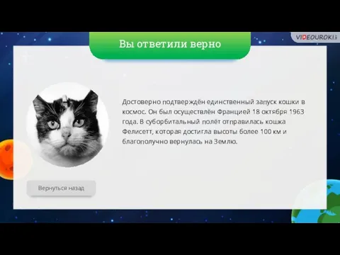 Вы ответили верно Вернуться назад Достоверно подтверждён единственный запуск кошки в