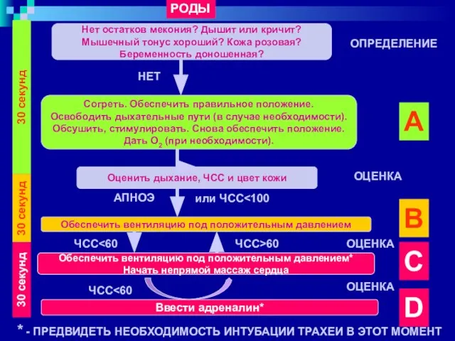 Нет остатков мекония? Дышит или кричит? Мышечный тонус хороший? Кожа розовая?