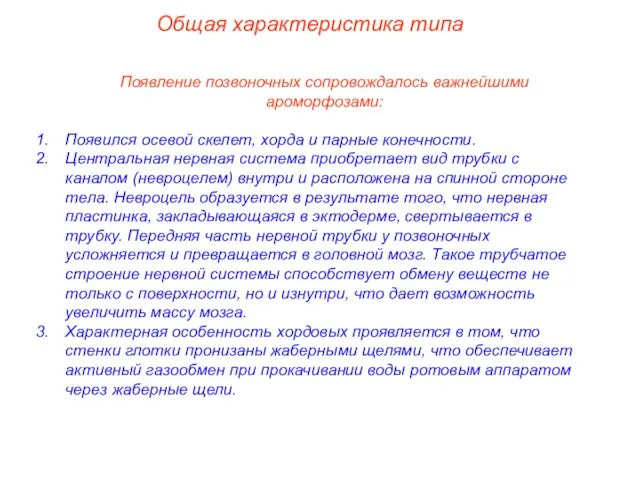 Общая характеристика типа Появление позвоночных сопровождалось важнейшими ароморфозами: Появился осевой скелет,