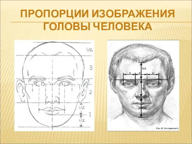 ПРОПОРЦИИ ИЗОБРАЖЕНИЯ ГОЛОВЫ ЧЕЛОВЕКА