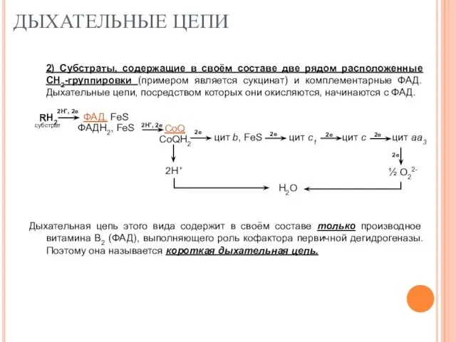 ДЫХАТЕЛЬНЫЕ ЦЕПИ 2) Субстраты, содержащие в своём составе две рядом расположенные