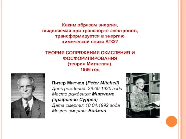 Каким образом энергия, выделяемая при транспорте электронов, трансформируется в энергию химической