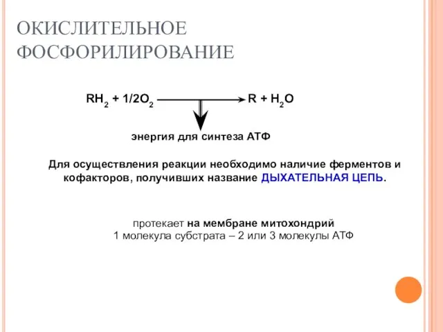 ОКИСЛИТЕЛЬНОЕ ФОСФОРИЛИРОВАНИЕ протекает на мембране митохондрий 1 молекула субстрата – 2