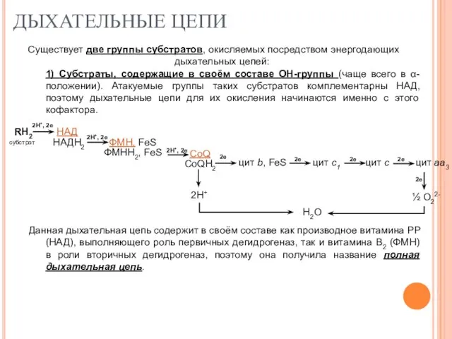 ДЫХАТЕЛЬНЫЕ ЦЕПИ Существует две группы субстратов, окисляемых посредством энергодающих дыхательных цепей: