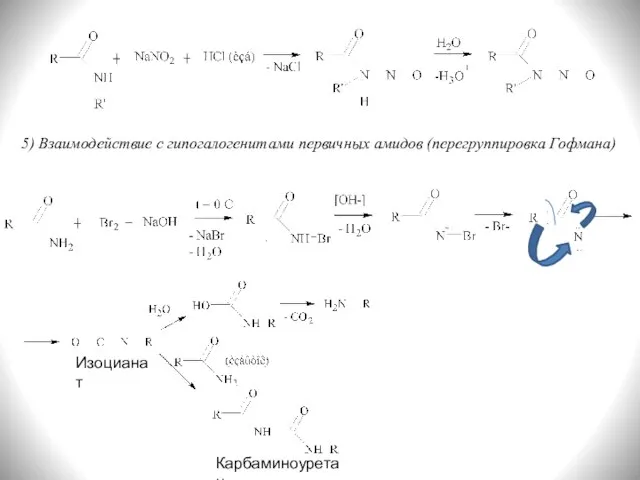5) Взаимодействие с гипогалогенитами первичных амидов (перегруппировка Гофмана) Карбаминоуретан Изоцианат