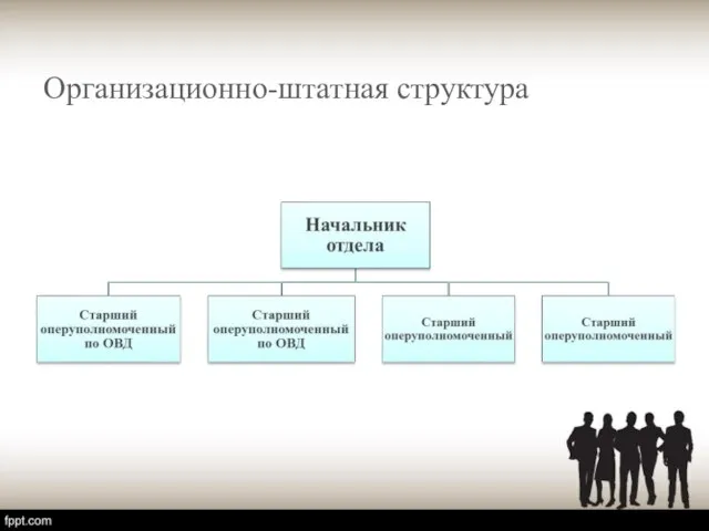 Организационно-штатная структура