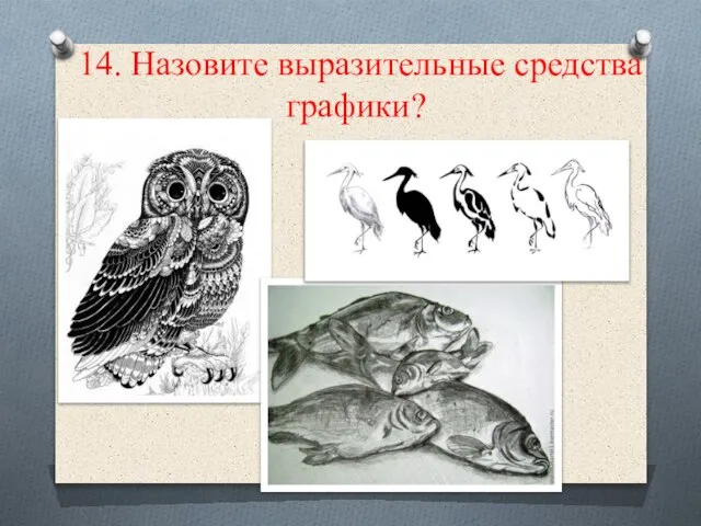 14. Назовите выразительные средства графики?