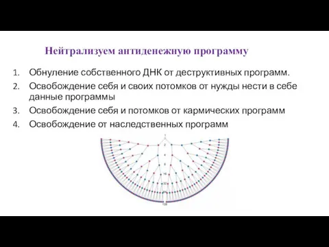 Обнуление собственного ДНК от деструктивных программ. Освобождение себя и своих потомков