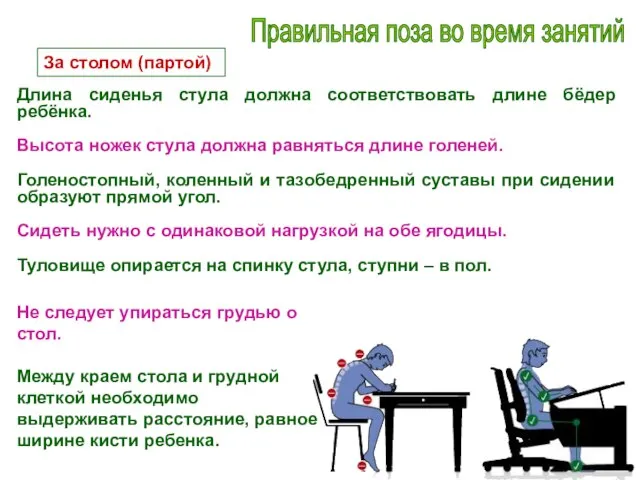 Правильная поза во время занятий За столом (партой) Длина сиденья стула