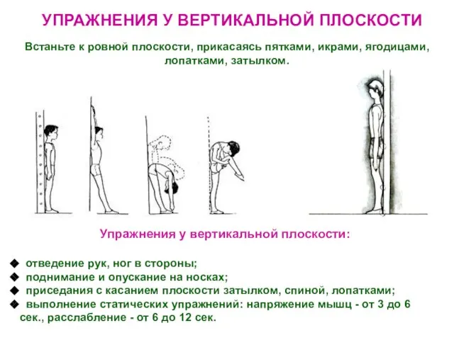 УПРАЖНЕНИЯ У ВЕРТИКАЛЬНОЙ ПЛОСКОСТИ Упражнения у вертикальной плоскости: отведение рук, ног