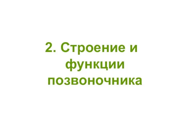 2. Строение и функции позвоночника