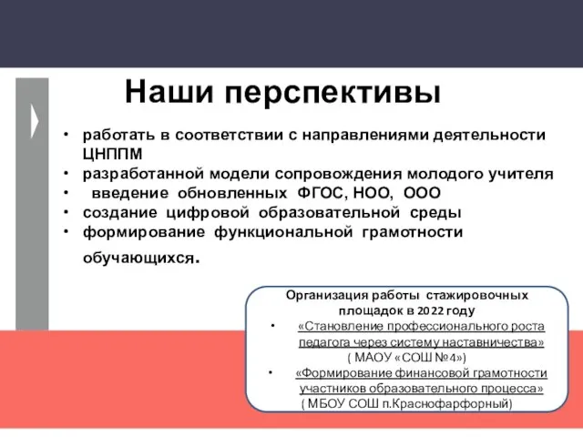 Наши перспективы работать в соответствии с направлениями деятельности ЦНППМ разработанной модели