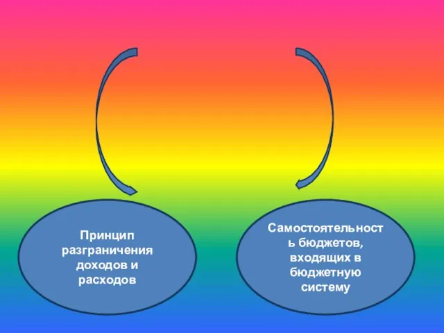 Основные принципы организации бюджетной системы Принцип разграничения доходов и расходов Самостоятельность бюджетов, входящих в бюджетную систему