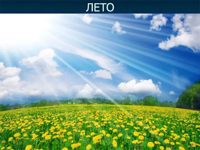 ЛЕТО