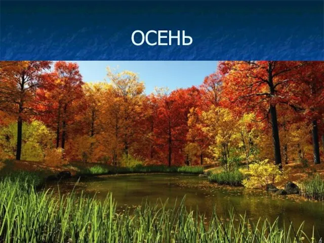 ОСЕНЬ