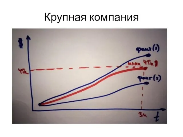 Крупная компания